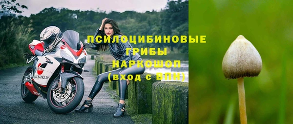 хмурый Балабаново