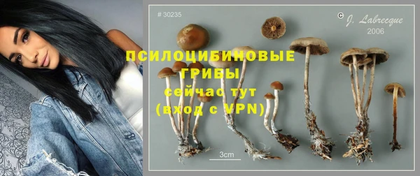 хмурый Балабаново